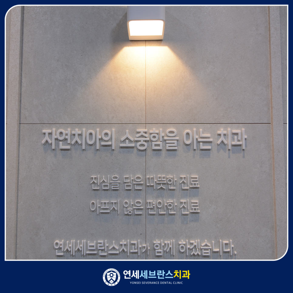 신경치료 설명 이미지